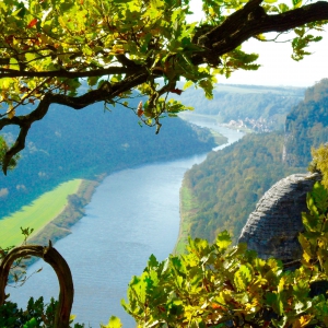 Blick auf die Elbe